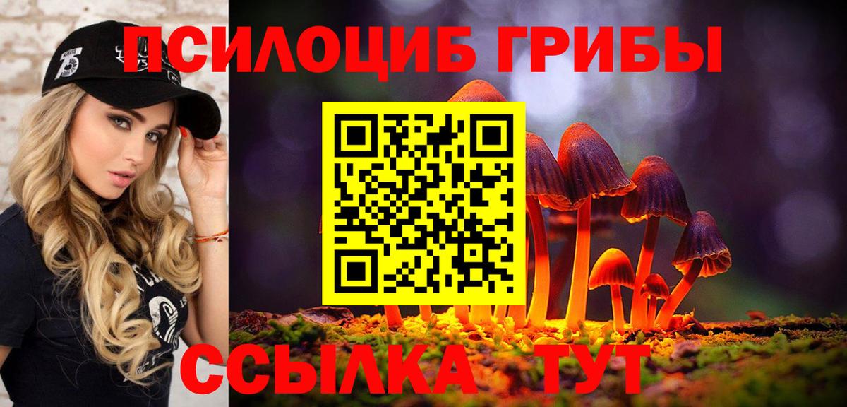 купить наркотики сайты  Галлюциногенные грибы мицелий  Вход с VPN  Галлюциногенные грибы мухоморы  Феодосия 